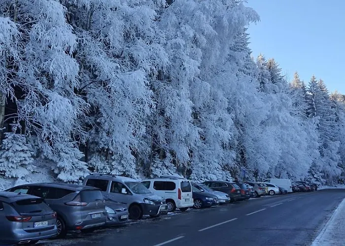Triventi Z Widokiem Na Sniezke Appartement