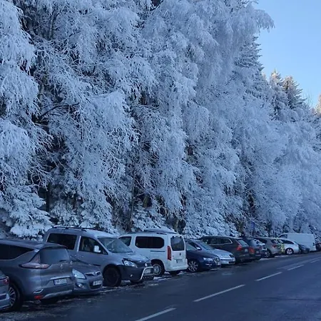 Triventi Z Widokiem Na Sniezke Apartment